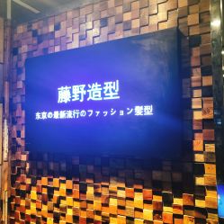 -藤野造型