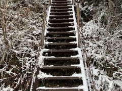 -武陵山森林公园