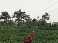 -汤山温泉房车营地 茶温泉