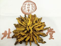 -同仁堂(沙坪坝店)