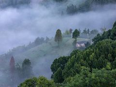 -石潭村