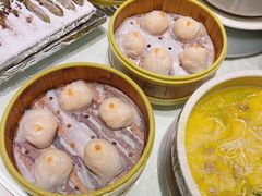 -宝燕壹号(徐汇店)