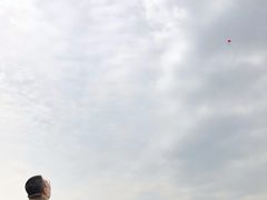 -太湖湖滨国家湿地公园-停车场