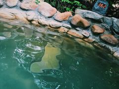 -深业半汤御泉庄温泉