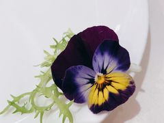 -湯記傳菜