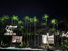 -三亚红色娘子军演艺公园景区