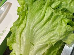 -张家砂锅(桐乡濮院宏苑路店)