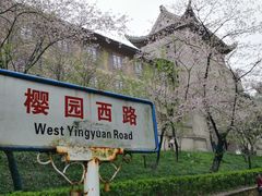 -武汉大学-樱园