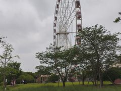 -自然谷恐龙园