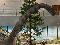 -湖南省地质博物馆