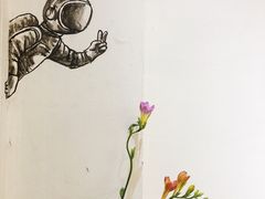 餐具摆设-茶是一枝花泡茶店