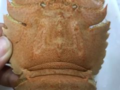 -后田海鲜餐厅(南澳香湖湾店)