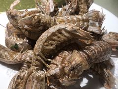 椒盐濑尿虾-潮人姐妹轩(海宁路店)