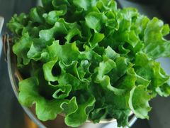 生菜-朴太院·烤肉万岁·创意首尔料理(中联广场店)