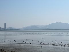 -深圳湾公园(南山区)