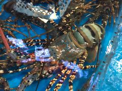 -清水湾3号(东方小周海鲜店)