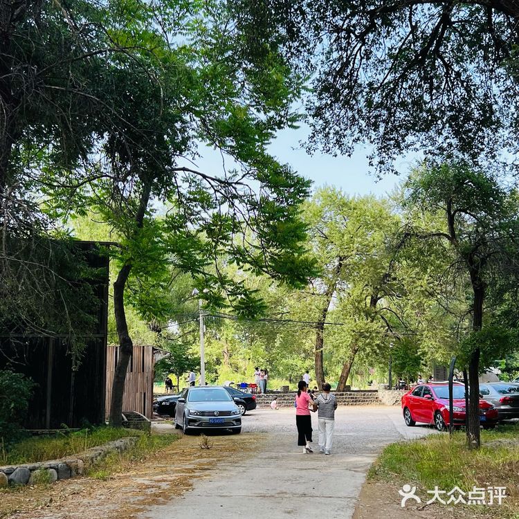 露营🏕️烧烤，遛娃好去处