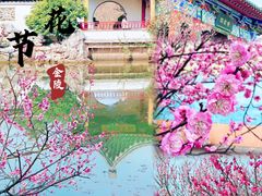 -梅花山(明孝陵内)