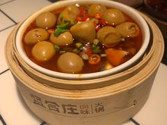 鹌鹑蛋-贤合庄卤味火锅(时代广场店)