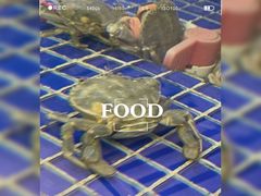 -天津包子铺·海鲜家常菜(北戴河店)