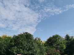 -西安浐灞国家湿地公园