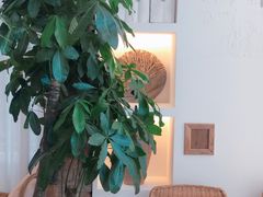 -CENTTY辛蒂咖啡·烘焙·西点(天兰社区新生活中心店)