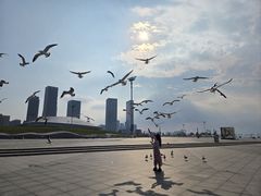 -东港音乐喷泉广场
