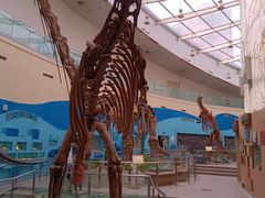 -陕西自然博物馆