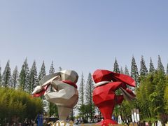 -黄海国家森林公园