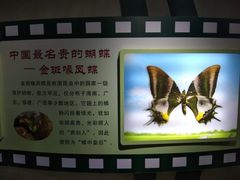 -上海昆虫博物馆