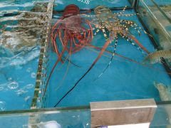 -亚龙湾8号(丁村万人海鲜广场店)