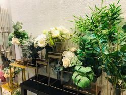 点击看大图 -薇薇安花系SPA