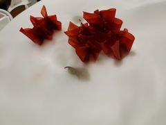 -柿合缘新京菜(国金中心商场店)
