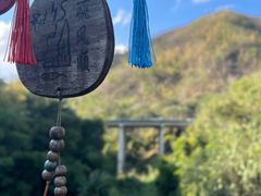 -西双版纳原始森林公园