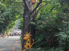 -深圳野生动物园
