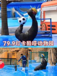 -酷嗒动物文化乐园(cutezoo西溪乐天城店)