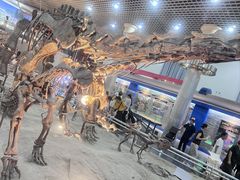 -国家自然博物馆