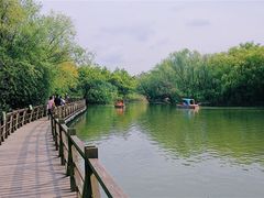 -吴淞炮台湾湿地森林公园烧烤区