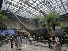 -国家自然博物馆