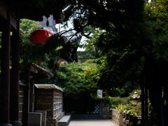 -龙华寺