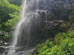 -凤凰山国家森林公园