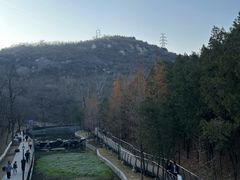 -白水寺森林公园