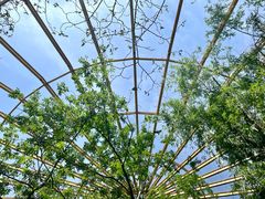 -临沂动植物园