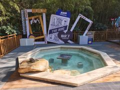 -天目湖涵田半山温泉