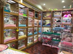 -宠物兔专门店(天丰利市场店)