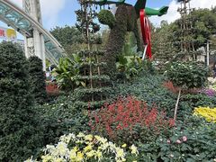 -南山植物园