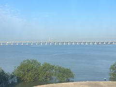 -宝安西湾红树林湿地公园