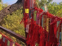 -香山公园