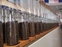 -喜茶(迪士尼小镇DP店)