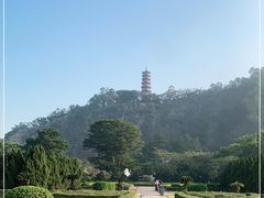 -南沙蒲洲花园